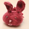 Bunny Buddies