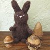 Calorie Free Chocolate Bunny