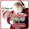12 Days of Christmas Giveaway