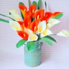 Lily Sugar n Cream
